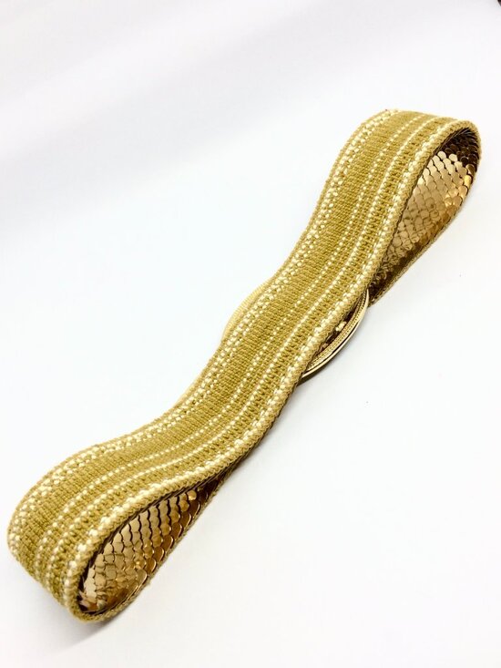 VINTAGE GOLD TONE Stretch Belt Day Lor Wide Scale Statement Disco Waist Cinch main image 11